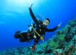 Benefici Fisici delle Immersioni Subacquee: Migliora Salute e Forma Fisica