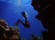 Esplorazione e Avventura: Come le Immersioni Arricchiscono la Vita