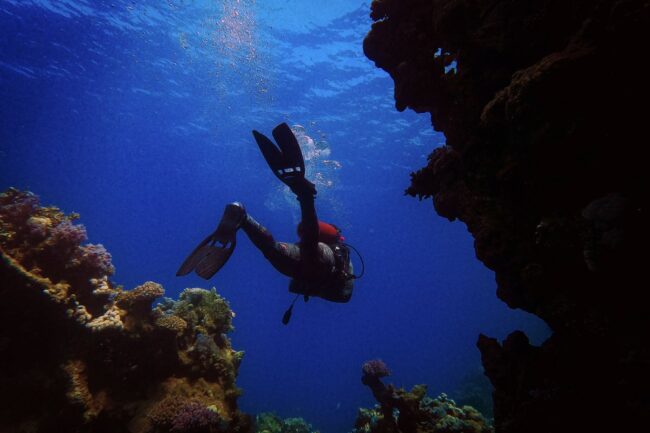 Esplorazione e Avventura: Come le Immersioni Arricchiscono la Vita