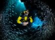 Immersioni Sostenibili: 8 Buone Pratiche per Ridurre l’Impatto Ambientale