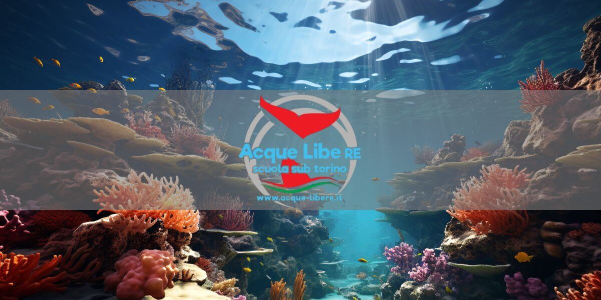 conservazione-marina-acque-libere Conservazione Marina: Come i Subacquei Possono Fare la Differenza