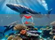Aree Marine Protette e Subacquei: Regole, Vantaggi e Comportamenti Consigliati
