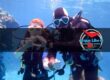 Socializzazione e Comunità: Il Ruolo del Diving nel Creare Legami e Amicizie