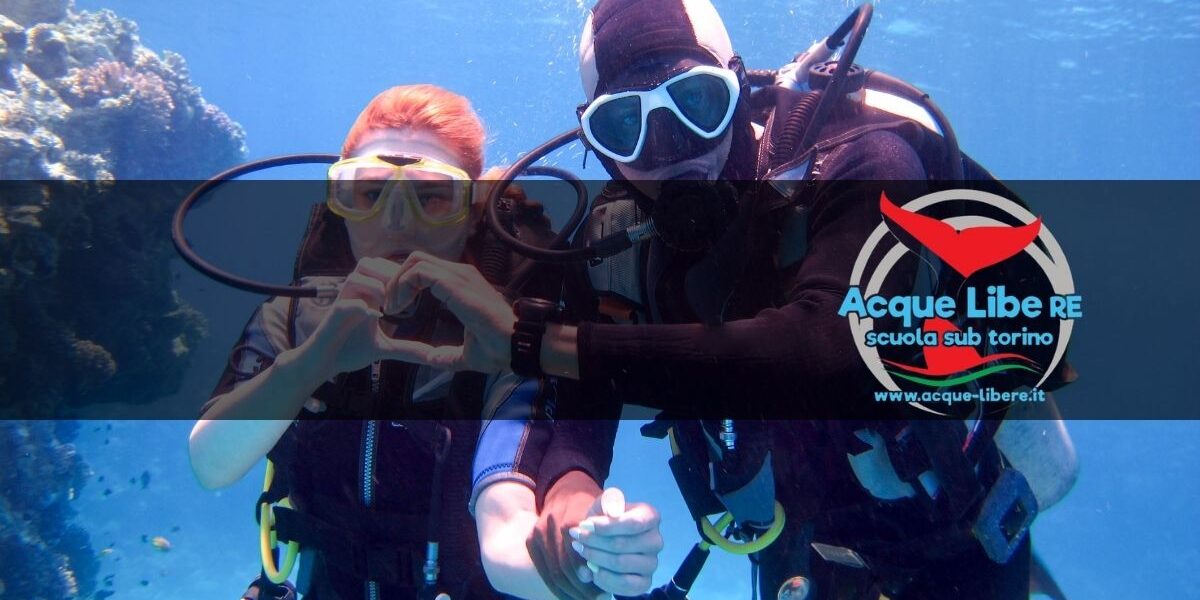 Socializzazione e Comunità_ Il Ruolo del Diving nel Creare Legami e Amicizie Socializzazione e Comunità: Il Ruolo del Diving nel Creare Legami e Amicizie
