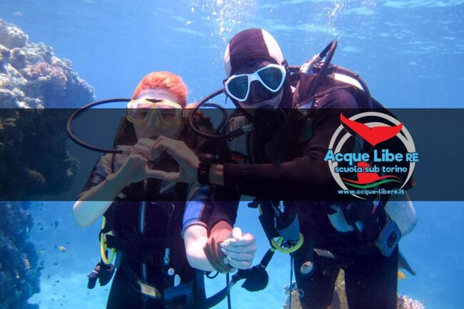 Socializzazione e Comunità: Il Ruolo del Diving nel Creare Legami e Amicizie