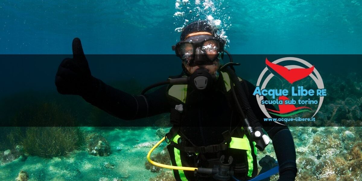 arErogatore Subacqueo_ Come Funziona, Come Sceglierlo e Quando Revisionarlo Erogatore Subacqueo: Come Funziona, Come Sceglierlo e Quando Revisionarlo